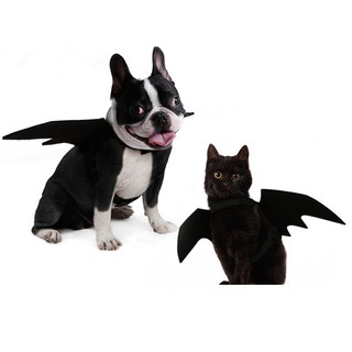 Đồ Hóa Trang Halloween Cho Thú Cưng