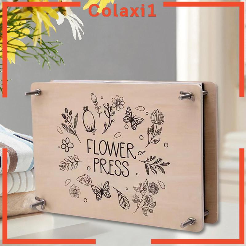Bộ Hoa Khô Dạng Nhấn Dùng Để Cắt Mặt Dây Chuyền DIY 1