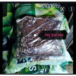 Giá thể đất trồng sen đá xương rồng cao cấp Soil Mix