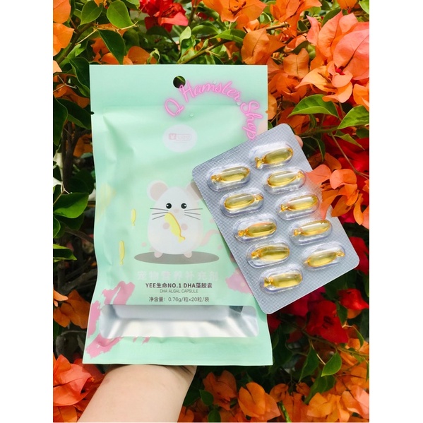 Tinh chất DHA chăm sóc sức khoẻ cho hamster (tim và não) - Q Hamster Shop 🐹