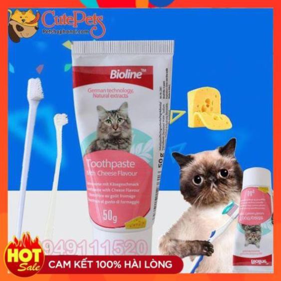 Bộ Kem đánh răng cho mèo Bioline 50g + Bàn chải - CutePets