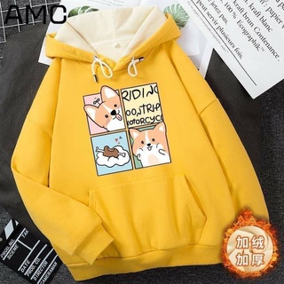 Áo  nỉ  hoodie