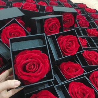 Combo hộp son kèm giấy gói 2 màu