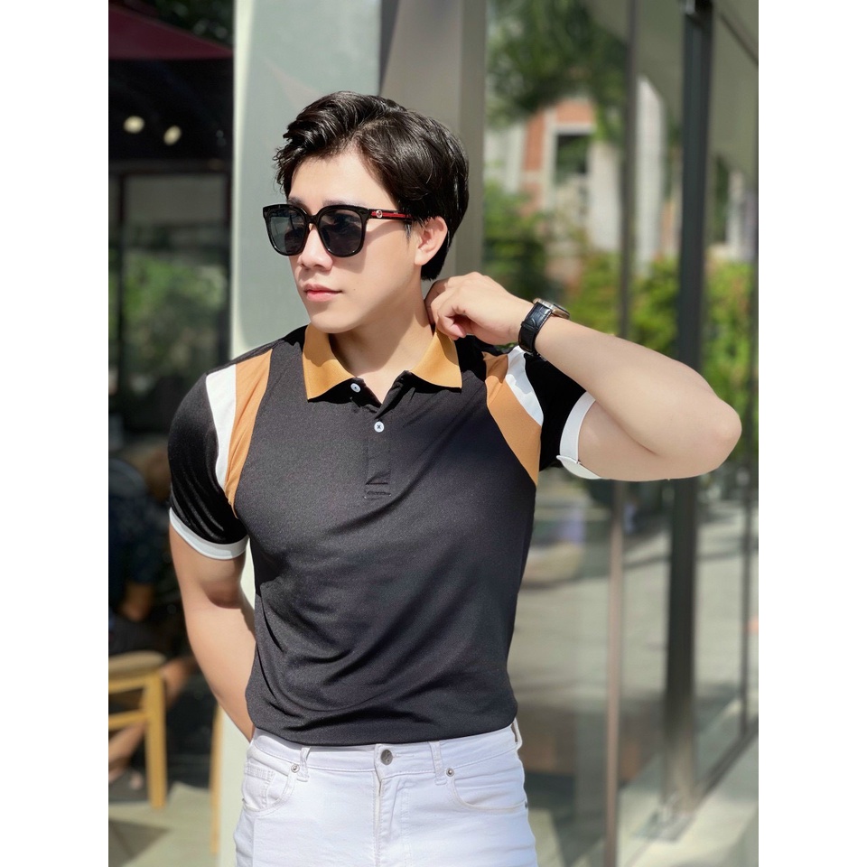 Áo polo nam cổ bẻ vải cá sấu Cotton xuất xịn,chuẩn form, sang trọng - thanh lịch TB021