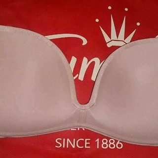 Maxi 819 gọng thần kỳ