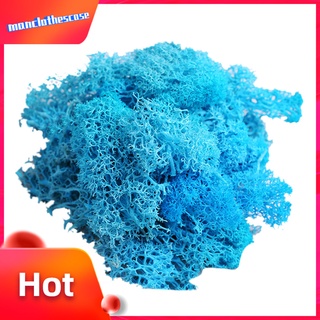 Chậu cây cảnh nhân tạo hình tuần lộc dùng trang trí độc đáo