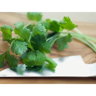 20gr - HẠT GIỐNG RAU NGÒ RÍ