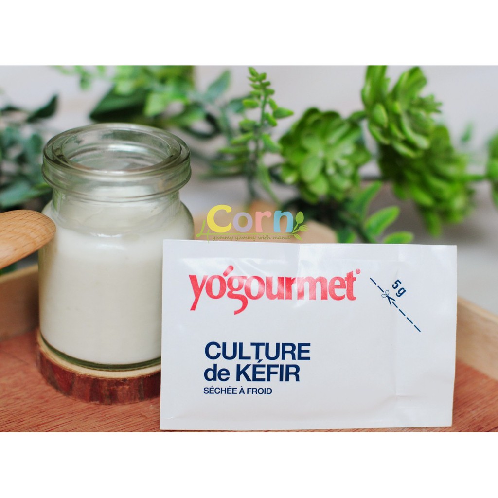 Men Kefir làm sữa chua Yogourmet - Cho bé 12m+