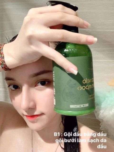 Dầu gội bưởi Pomelo Shampoo