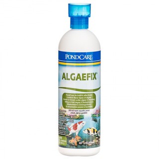 Api pondcare algaefix 237ml