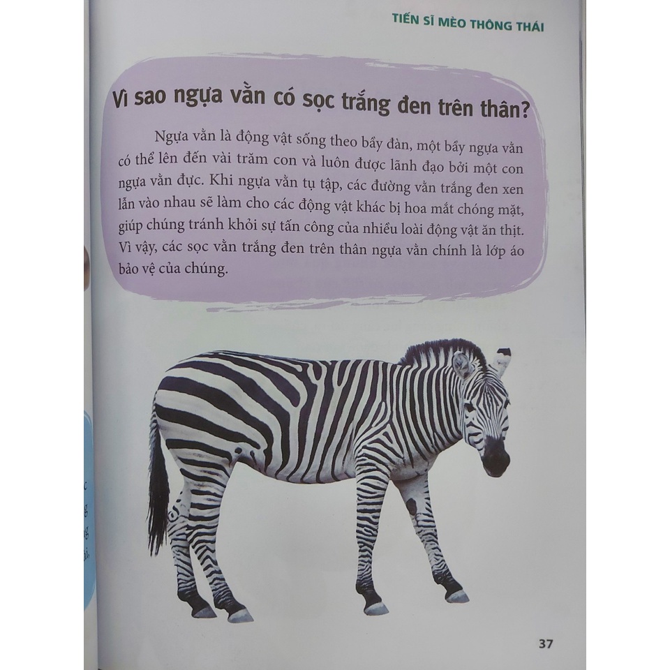 Sách - Tiến Sĩ Mèo Thông Thái Trọn Bộ 5 Cuốn Lẻ tùy chọn