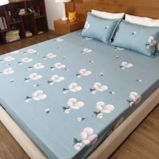Ga chống thấm loại xịn