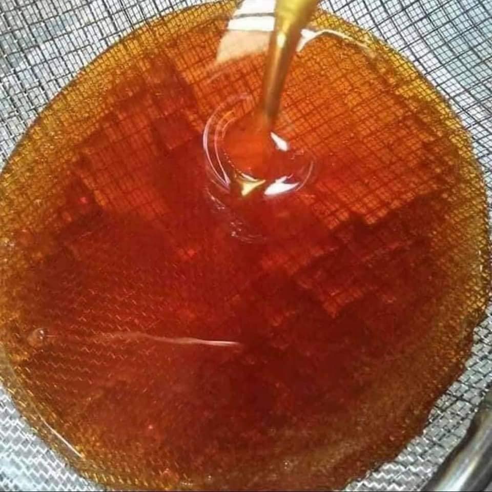 Mật ong rừng nguyên chất tự nhiên hoa nhãn loại đặc biệt Henrybee