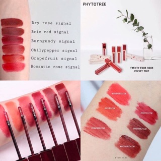 [ĐỦ MÀU] SON 24H PHYTOTREE SIÊU ĐẸP