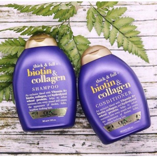 Cặp gội xả Biotin 385ml