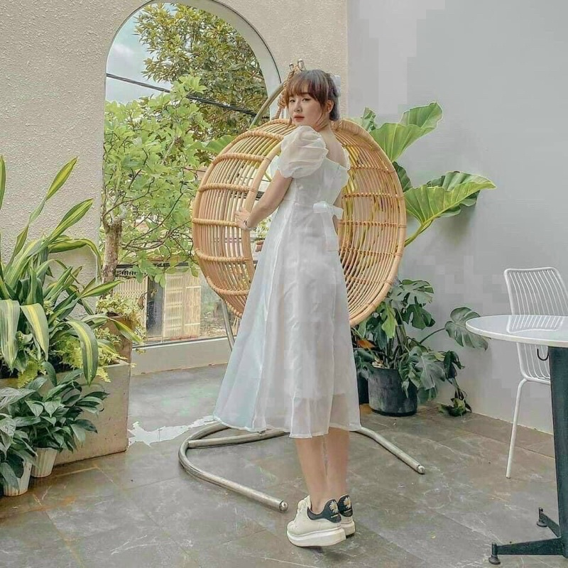 ĐẦM HOA NHÍ ĐÍNH NÚT