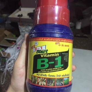 Dung dịch vitamin B1 thái 500ml