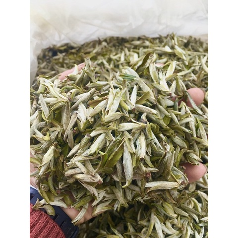 Bạch Trà Tiên Tây Côn Lĩnh - Hà Giang  quý hiếm nhất🍵🍃🍃🍃