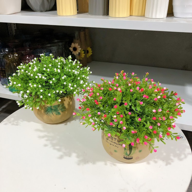 [Chậu hoa cắm sẵn] Chậu hoa chiêm điểm để bàn trang trí, phòng ăn, phòng khách