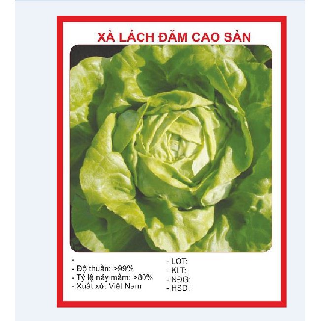 Combo 5 gói rau xà lách ( xoăn tím + xanh + romain xanh + đăm xanh+ búp mỹ ) Tặng 1 phân bón