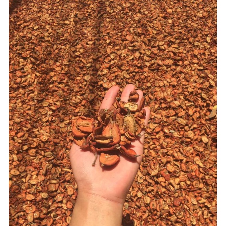 Táo mèo khô thơm sạch không vụn giá sỉ 1kg