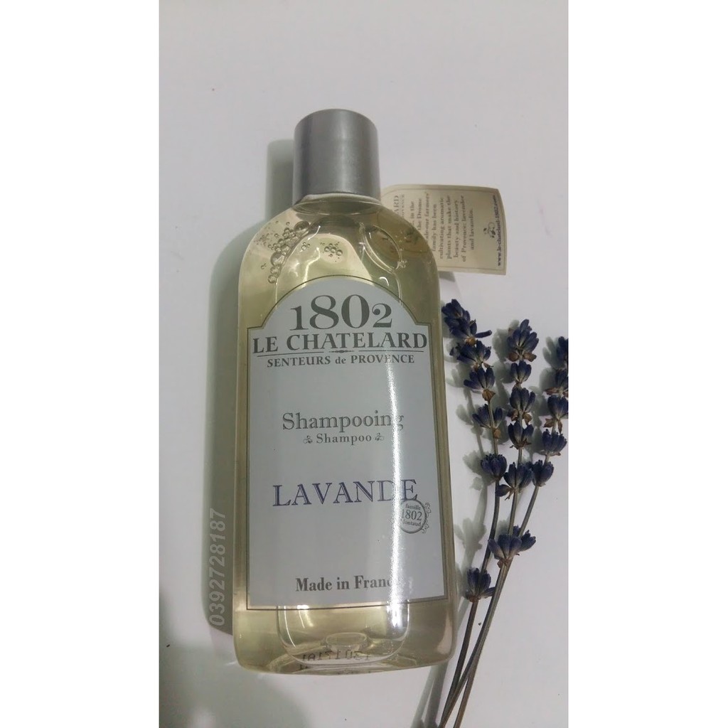 DẦU GỘI Oải Hương