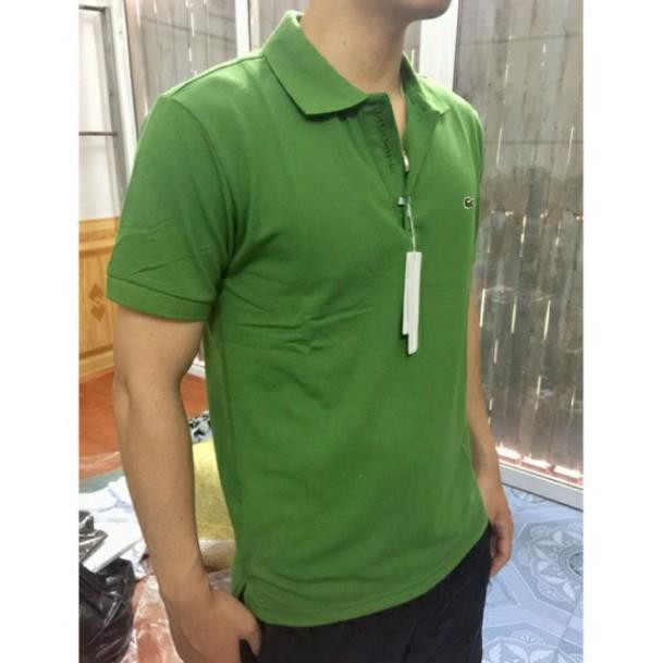 Áo thun phông nam nữ trung niên cá sấu đủ size cho người gầy và người 80kg 👕 *