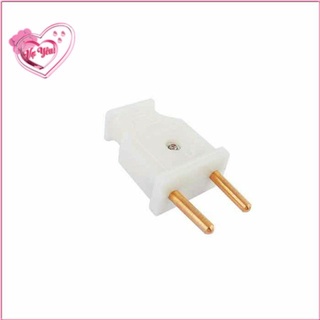 Phích - Chui cắm điện 10A (Đầu dương, đầu âm)