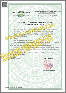 Bổ não GINKO