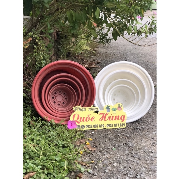 Chậu nhựa Nâu N10 trồng sen đá,xương rồng thương hiệu Quốc Hùng