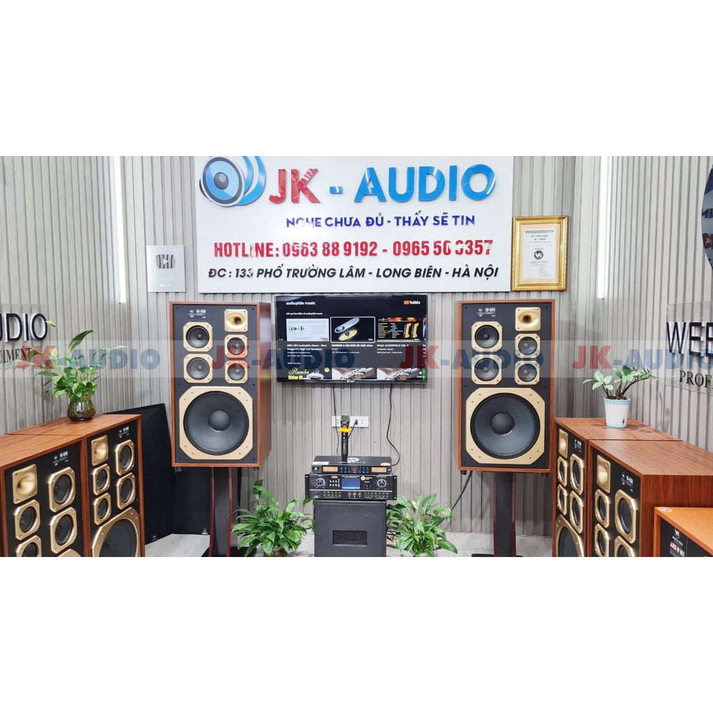 Loa Weeworld W938 Pro - bass 40