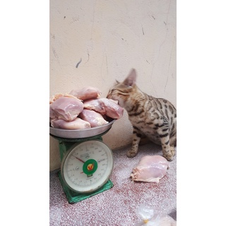 Ức Gà Loại 2 Mỗi Túi 2kg