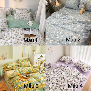 [ĐƯỢC CHỌN MẪU - 100 MẪU HOA NHÍ] Bộ chăn ga cotton Hàn Quốc hoa nhí phong cách trang nhã, drap giường đẹp
