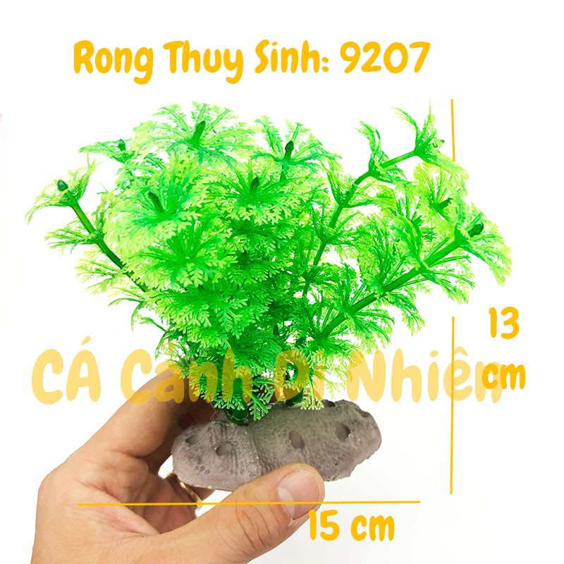 Mô hình cây rong Thủy Sinh trang trí hồ cá cảnh size 12CM
