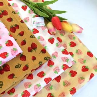 VẢI THÔ KATE 🍓V168