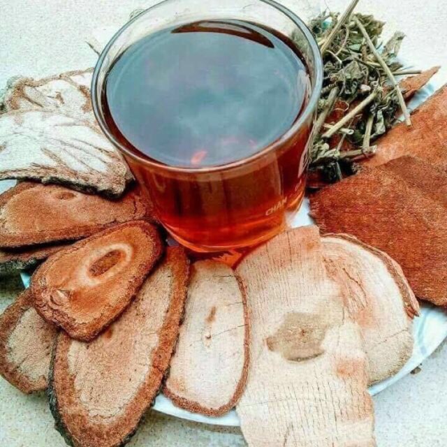 Cỏ máu tăng cân bổ máu