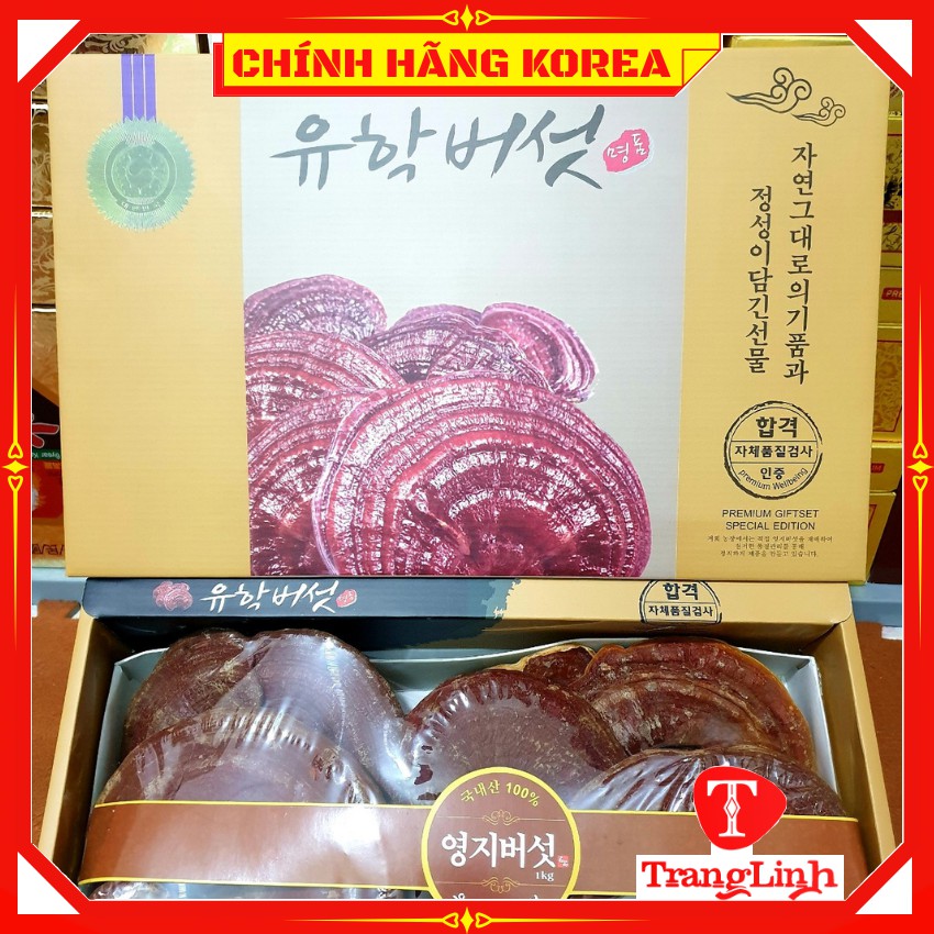 Nấm linh chi đỏ hàn quốc thượng hạng - Nấm hộp quà 1kg giúp thải độc gan, thanh lọc cơ thể - tranglinhkorea