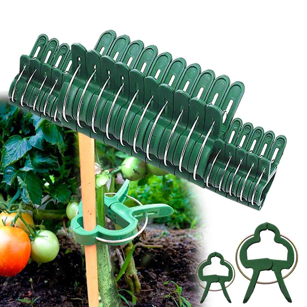 Set 10/20 Kẹp Cố Định Cành Cây Bằng Nhựa Tiện Dụng