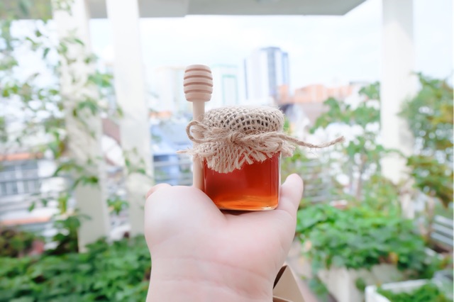 Combo 50 hũ mật ong tặng khách cưới