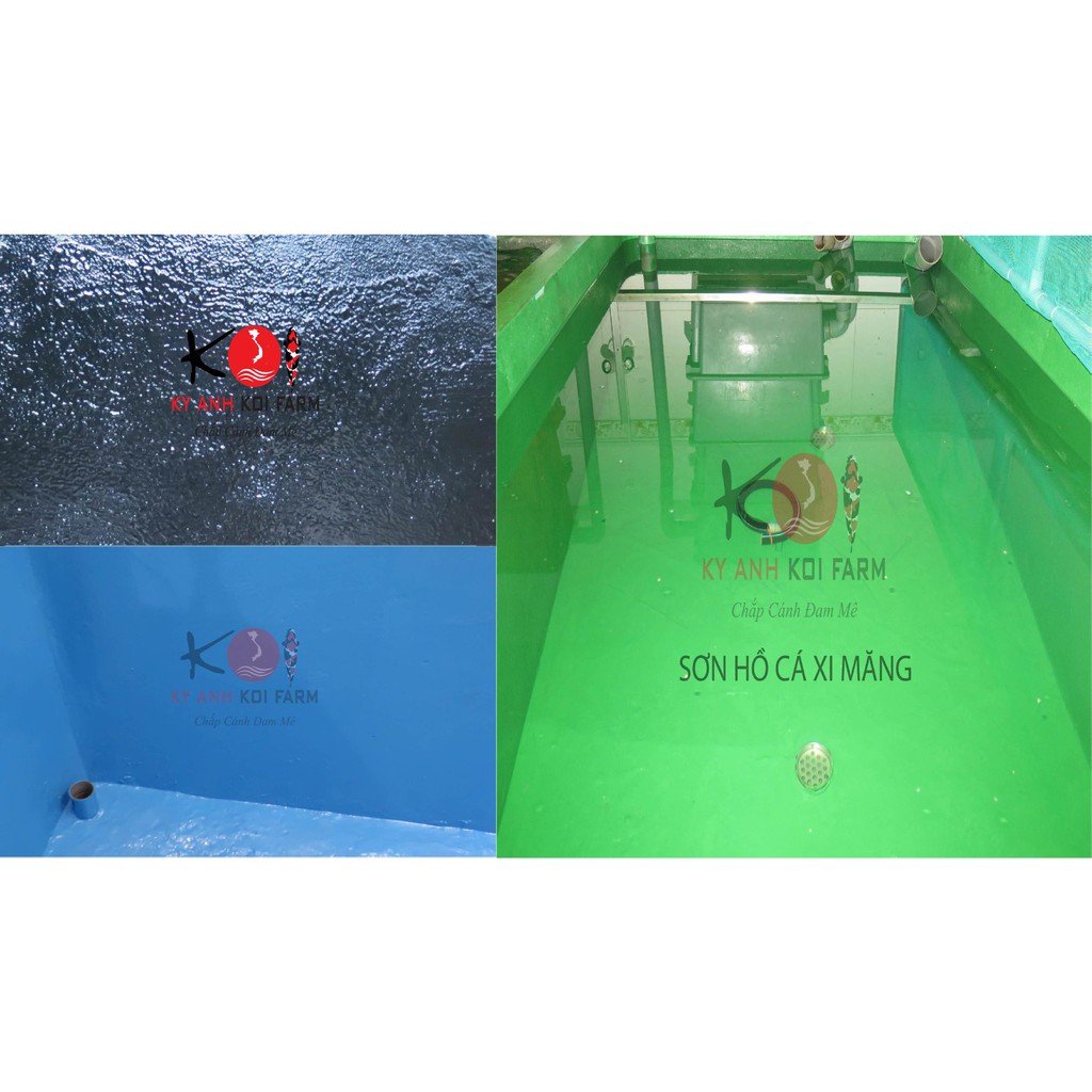 Combo 1 sơn chống thấm hồ cá koi bao gồm 1 thùng sơn lót và 1 thùng sơn phủ sơn được 30m2 kyanhkoifarm.com