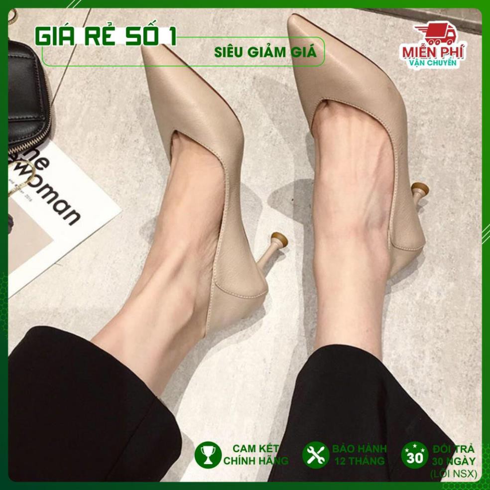 Giày Cao Gót Nữ -DAZZLING SHOES Thời Trang Mũi Nhọn Cao 3 Phân Da Lì Gót Nhọn Chống Xước - SS108 .