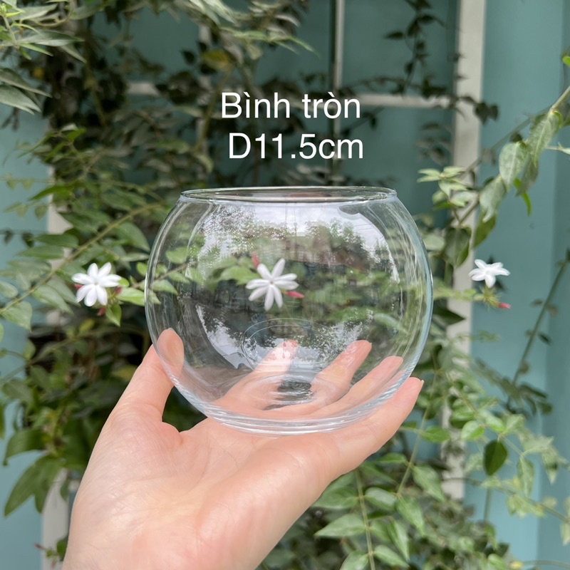 Bình thủy tinh dáng tròn nhiều cỡ, bình cắm hoa trồng cây nuôi cá thủy sinh thủy canh
