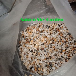 Sỏi size Trung nhiều màu để trang trí