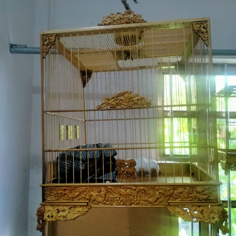 Lồng Chim chào mào đục Sóc Nho tang giật cấp