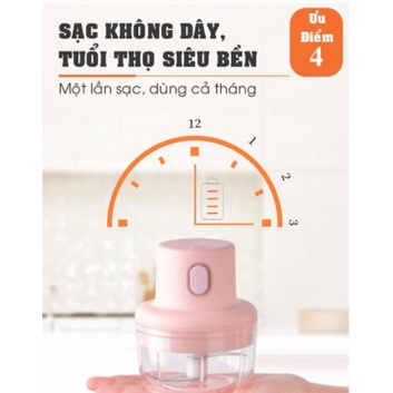 Máy Xay Mini Sạc Điện Có Cổng Sạc Usb, Nhỏ Gọn Tiện Ích Dễ Sử Dụng Xay Hành Tỏi Rau Củ Quả Thể Tích 250ML