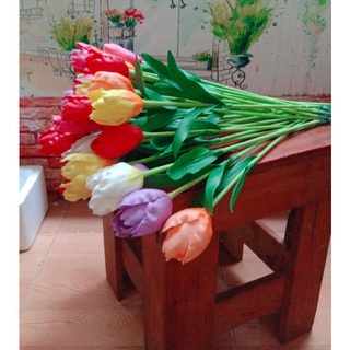Hoa tulip đất sét