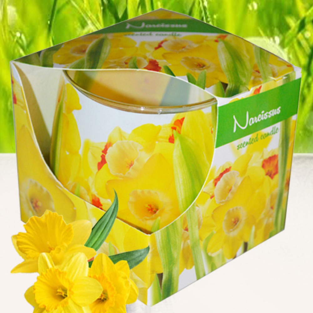 Ly nến thơm tinh dầu Admit Narcissus 100g QT025838 - thủy tiên vàng, nến trang trí, thơm phòng, thư giãn, khử mùi