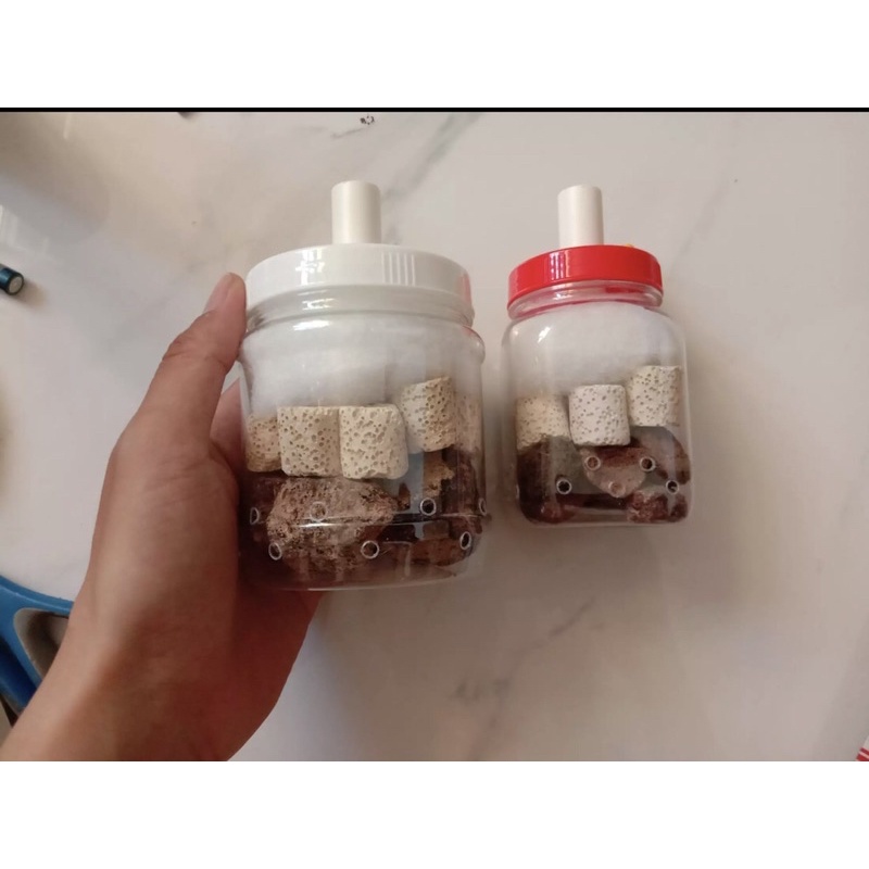 Lọc vi sinh chế cho bể cá