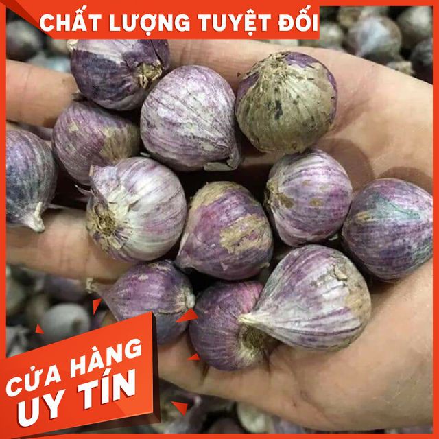 [ GIÁ SỈ ] [CHẤT LƯỢNG ĐẢM BẢO]3KG TỎI CÔ ĐƠN TẶNG KÈM 1 LỌ VIÊN HÀ THỦ Ô MẬT ONG RỪNG 500gr