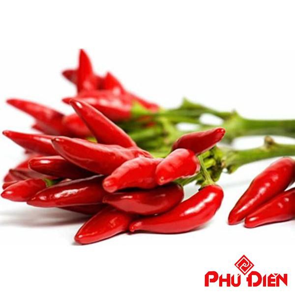 30 Hạt giống ớt chỉ thiên  PHÚ ĐIỀN